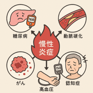 🧠慢性炎症をコントロールして、生活習慣病を防ごう  — 肥満・歯周病を見直すことが、未来の健康への第一歩です —