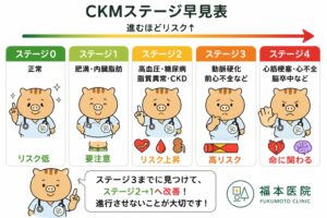 CKM（心腎代謝）症候群のステージ0〜4をわかりやすく示した図解。ふくぼ先生のイラストを用いて、肥満から高血圧・糖尿病、慢性腎臓病（CKD）、動脈硬化を経て、心筋梗塞・心不全・脳卒中へ進行する流れとリスクの上昇を説明している。