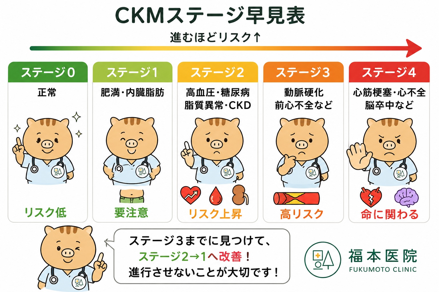 CKM症候群(心腎代謝症候群)とは?肥満・糖尿病・慢性腎臓病・心疾患をまとめて考える新しい概念