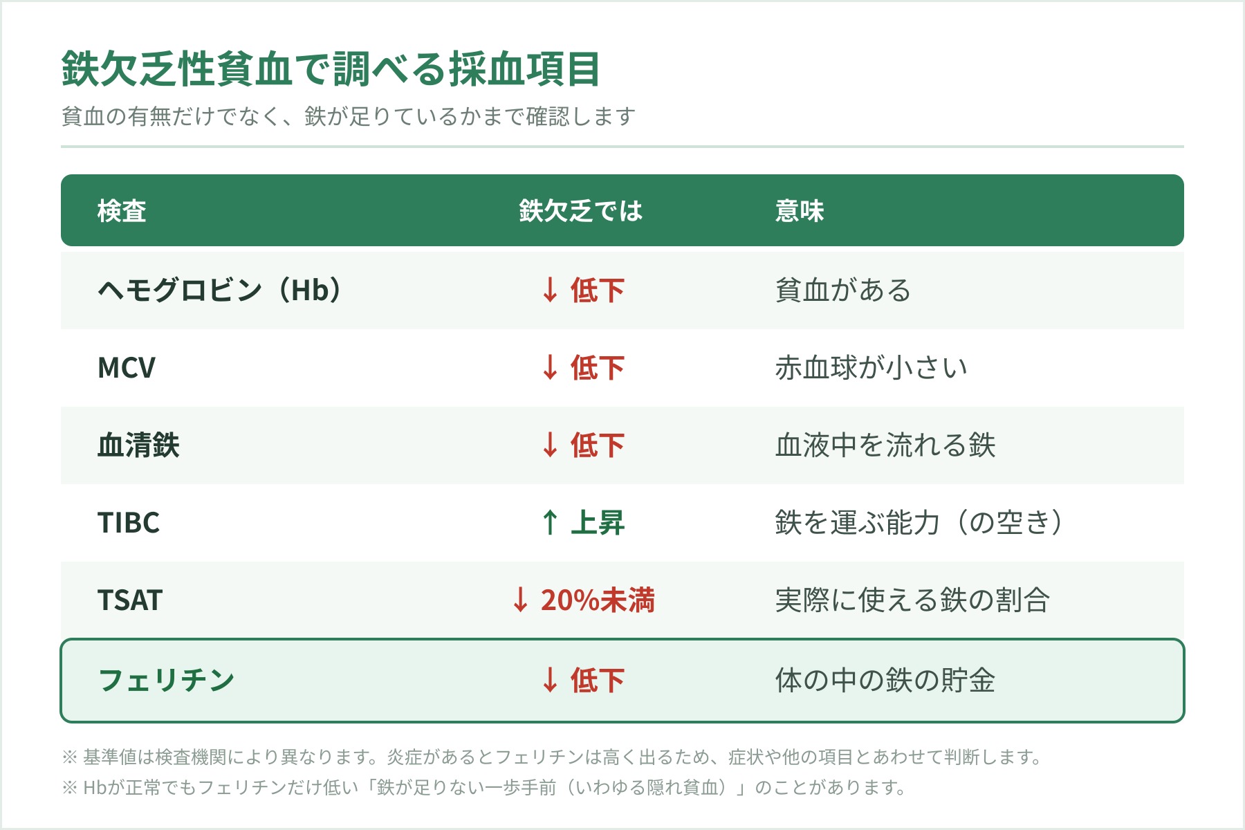 鉄欠乏性貧血で調べる採血項目と鉄欠乏時の変化を示した一覧表。ヘモグロビン低下、MCV低下、血清鉄低下、TIBC上昇、TSAT20%未満、フェリチン低下。
